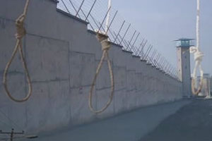 gohardasht2-300 gohardasht2-300