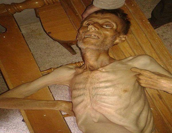 madaya4-600 madaya4-600