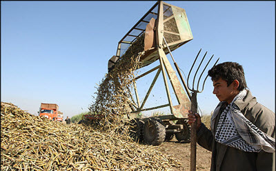 haft-tapeh1-400 haft-tapeh1-400