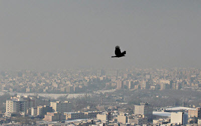 IMG0151094279117 IMG0151094279117