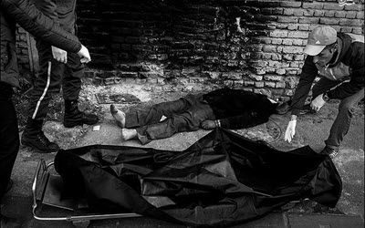 resized_1449071_884 resized_1449071_884