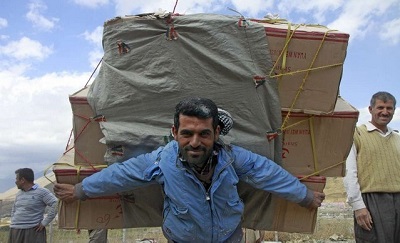 border-porter-400 border-porter-400