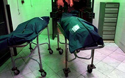 JamNewsImage13080321 JamNewsImage13080321