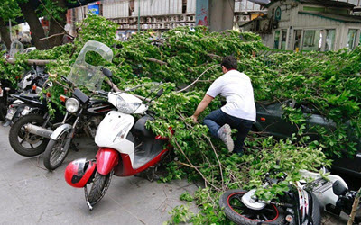 252636_236 252636_236