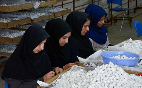 16911977_303 16911977_303