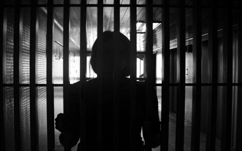 IMG08085096 IMG08085096