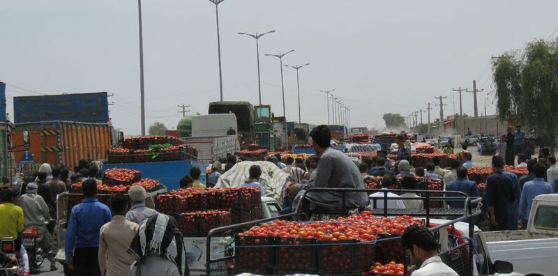 farmers-in-Kerman farmers-in-Kerman
