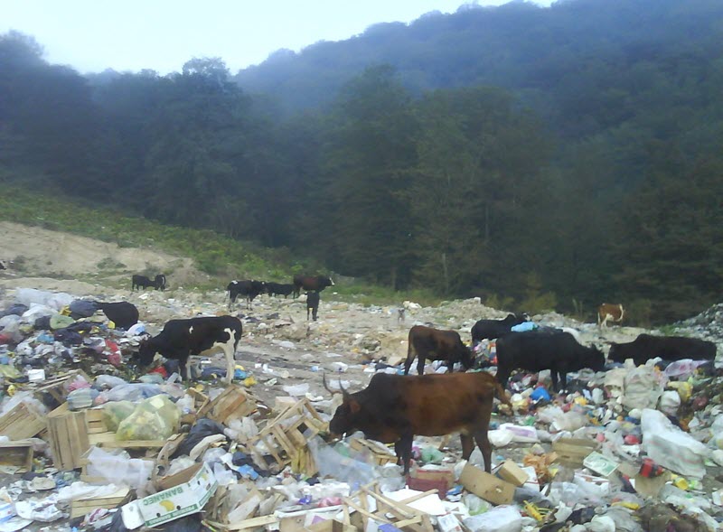 Waste-Management-Iran-3