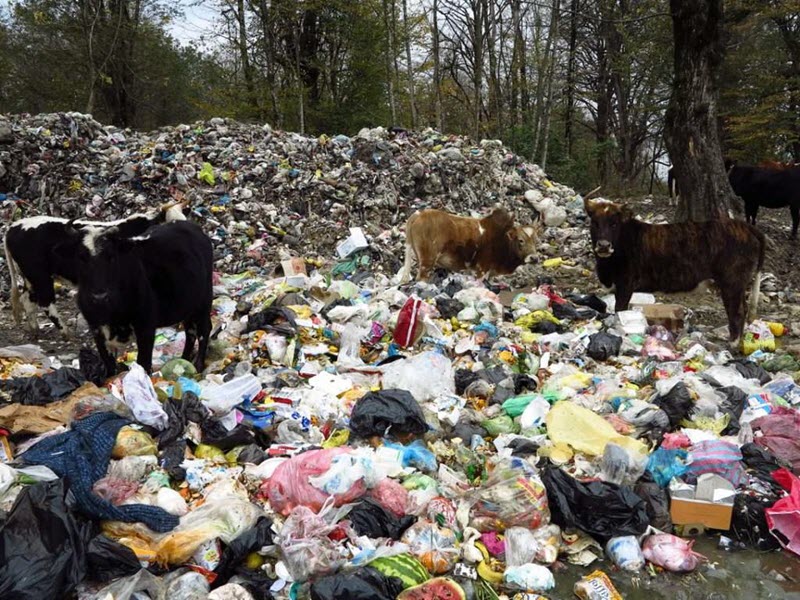 Waste-Management-Iran-6
