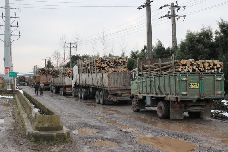 Iran-Failing-to-Address-Illegal-Wood-and-Soil-Trafficking Iran Failing to Address Illegal Wood and Soil Trafficking