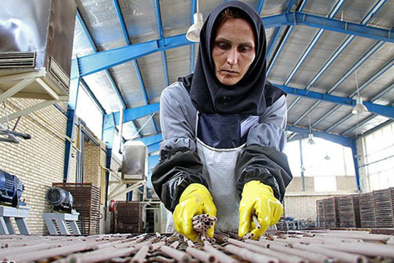 Iran-Regime-in-Denial-over-Plight-of-Workers Iran Regime in Denial over Plight of Workers