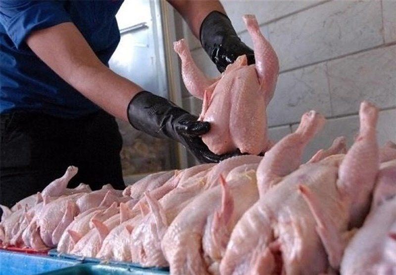 The_Price_of_Poultry_in_Iran_Rises_Above_120000_Rials The Price of Poultry in Iran Rises Above 120,000 Rials